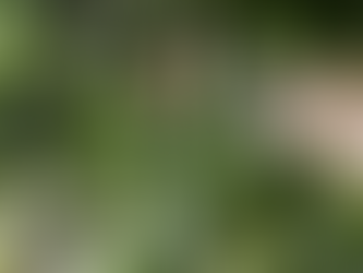 Basisches Fasten: Entlastung für den Körper und neue Energie