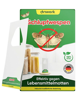 freepik__bei-img1-nur-eine-packung__17144.png