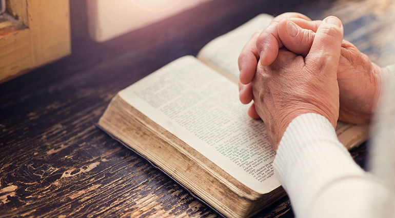 Notre Pain Quotidien