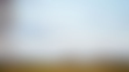 Notre Pain Quotidien