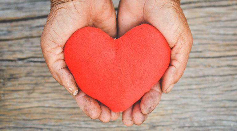 Notre Pain Quotidien