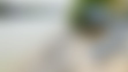 Notre Pain  Quotidien