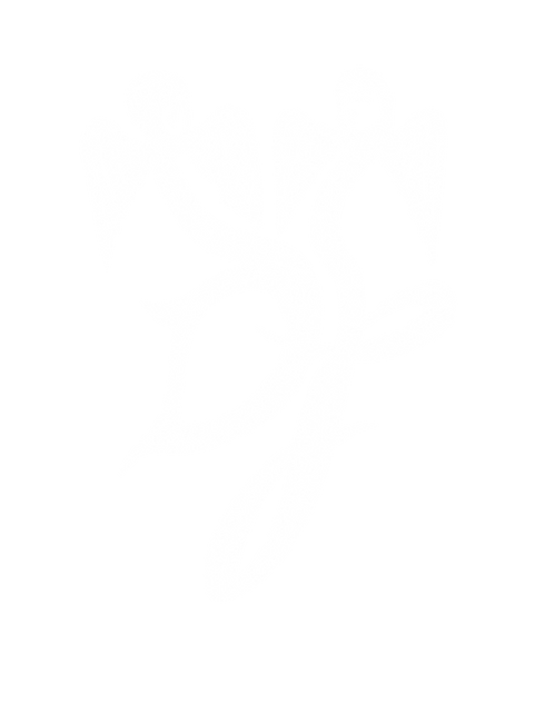 logo snakeskin white.png