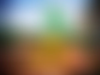 2020 Hosparus Tea: The Wizard of Oz 