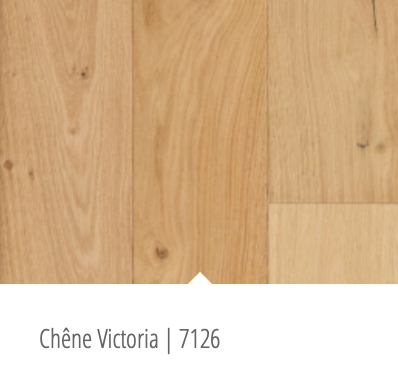 Miniature : Chêne Victoria - 7126