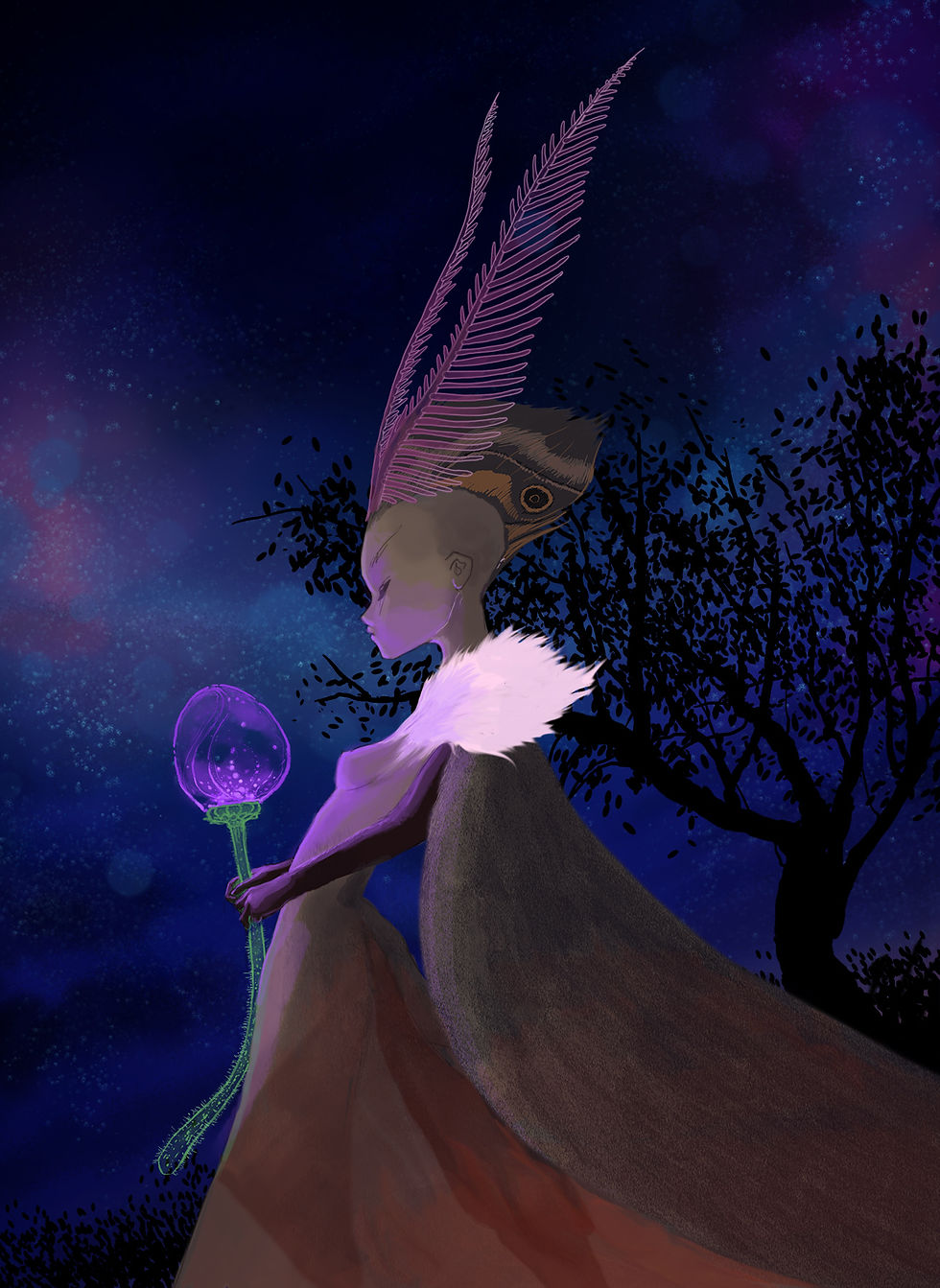 Cosmic Fairy
