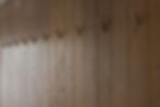 IMG_9267-2 copy.jpg