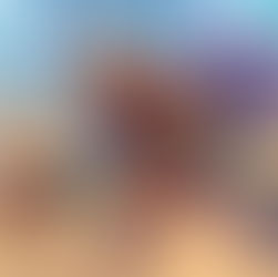 Baladins Review: A Board Game Inspired Gem | The Gamerheads Podcast