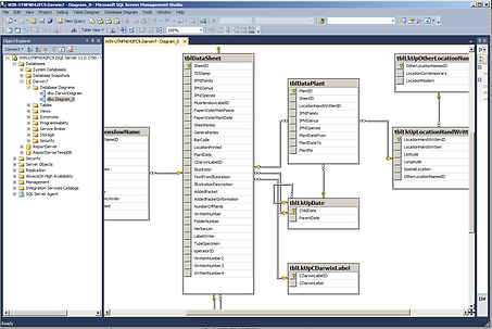 SQL Server Diagrams