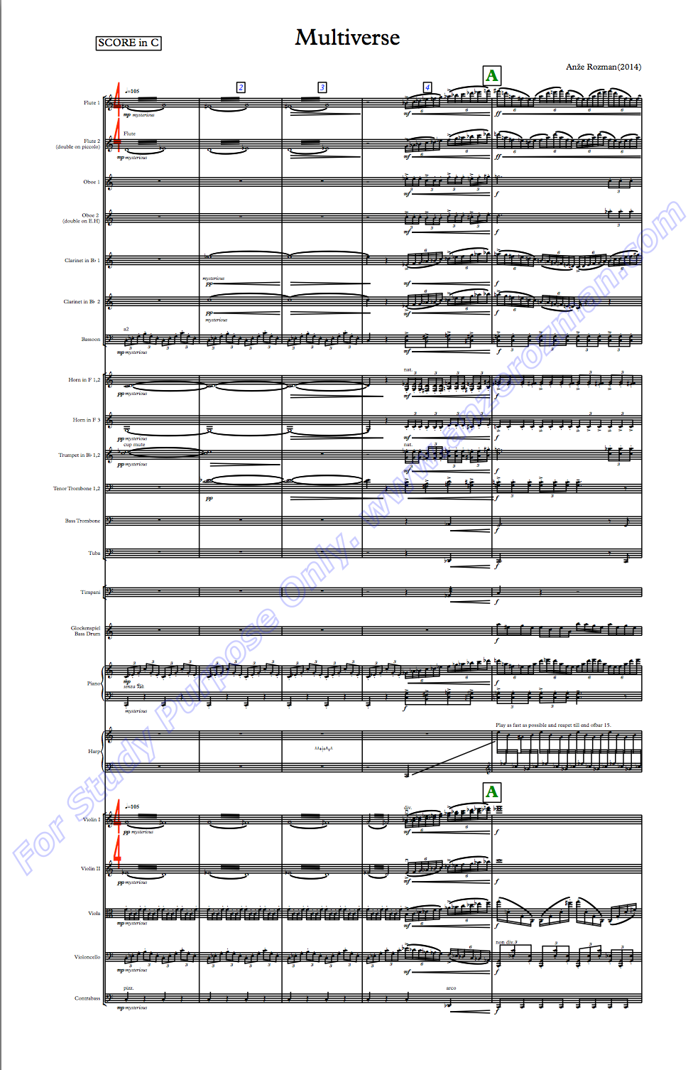 Polyverse SCORE