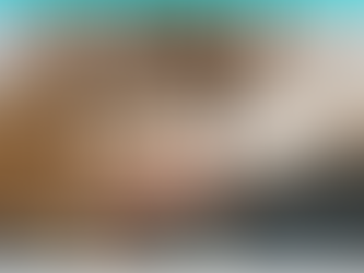 白く塗られた木の謎に迫る!