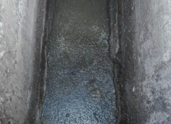 Trampas de grasas Edospina