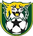 Kent Youth Soccer League.webp