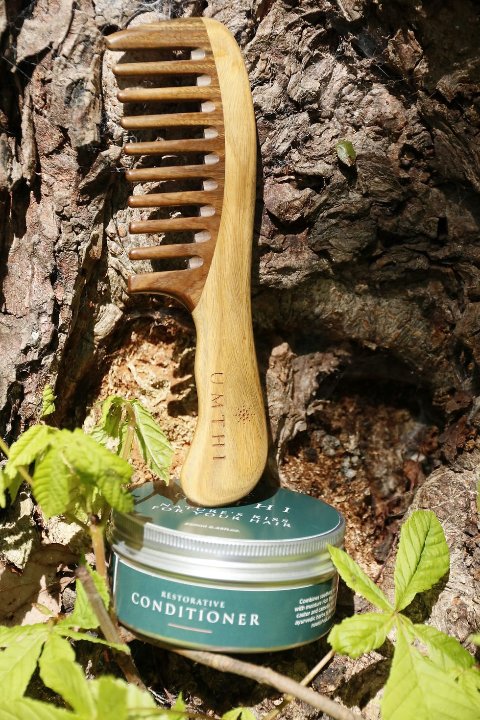 Thumbnail: Green Sandalwood Comb in Nature