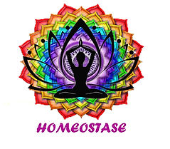 Logotipo Homeostase oficial.jpg
