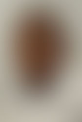 2020 Real Life Scholarship Winner