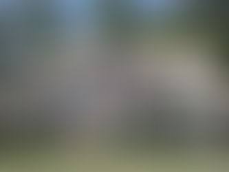 Suburban Horror Story #DemandAnEnd