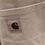 Miniaturebillede: Carhartt Jeans str.28