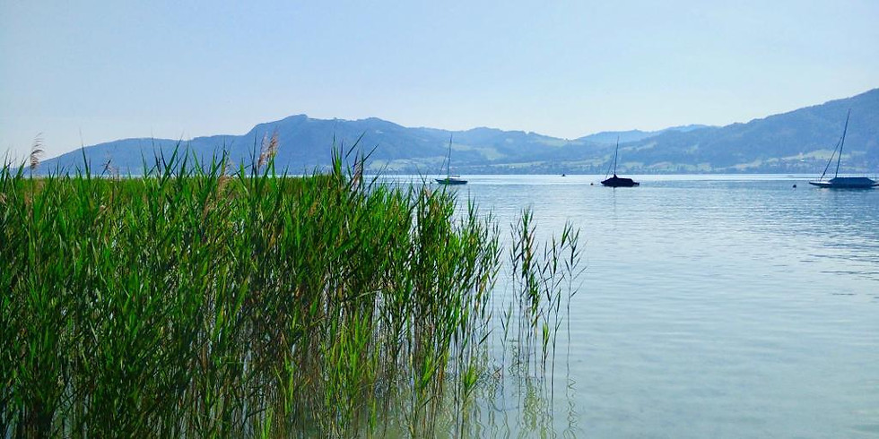 Yoga Week 2020 am Attersee