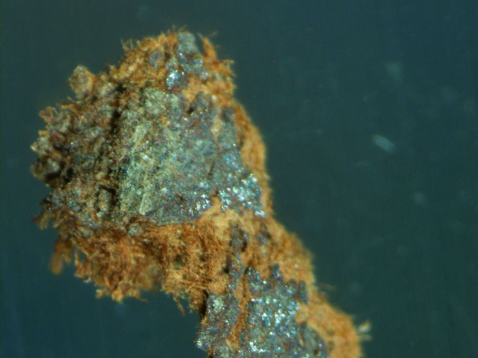 Leather under a microscope