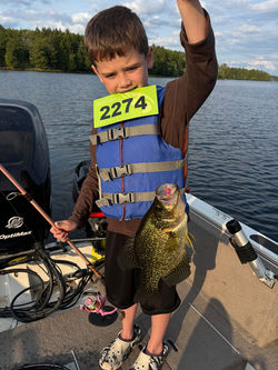 Crappie