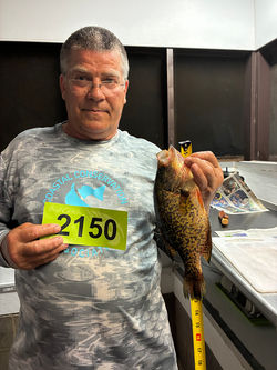 Crappie