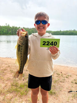 LGBass