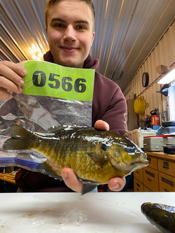 3rd PANFISH