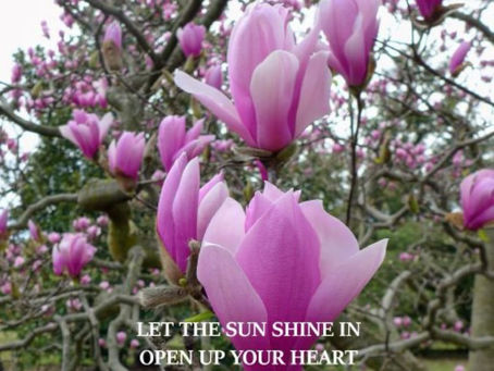 BIG PICTURE ~ LITTLE PICTURE