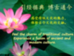 Picture11(引经据典).png