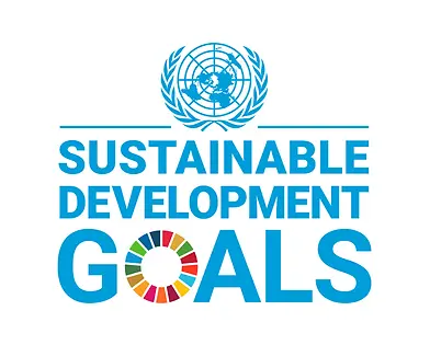 SDG Logo2.webp