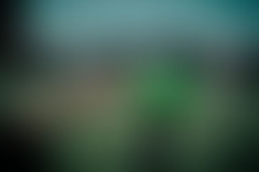 New Veo Starter Subscription