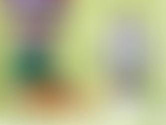 Safeguarding Toolkit