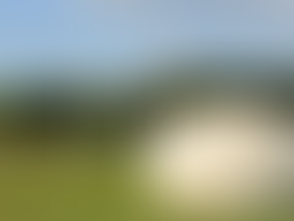 Age Grade Rugby – A Reminder