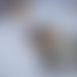 Jade Masogayo, West Virginia