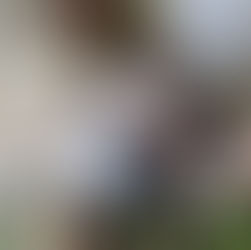 Buffs down Aztecs in Big 12 opener