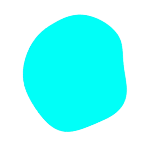 alt="Colorful circle gif and digital design by Noise Studio"