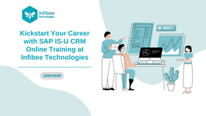 Launch Your Career with SAP IS-U CRM Online Training at Infibee Technologies