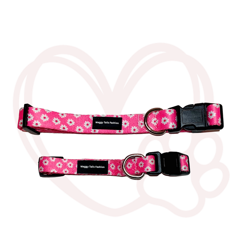 Ellie Adjustable Collar