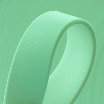Thumbnail: Mint and Pink  Biothane Lead