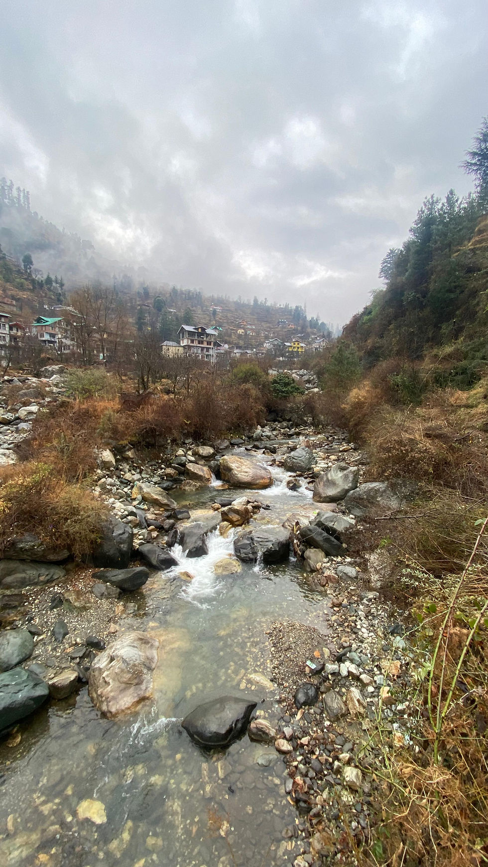 "Exploring the Pristine Beauty of Tirthan River: A Complete Guide for Nature Enthusiasts"