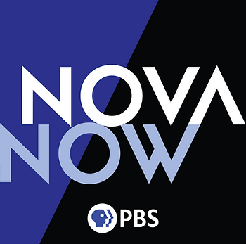nova_now.png