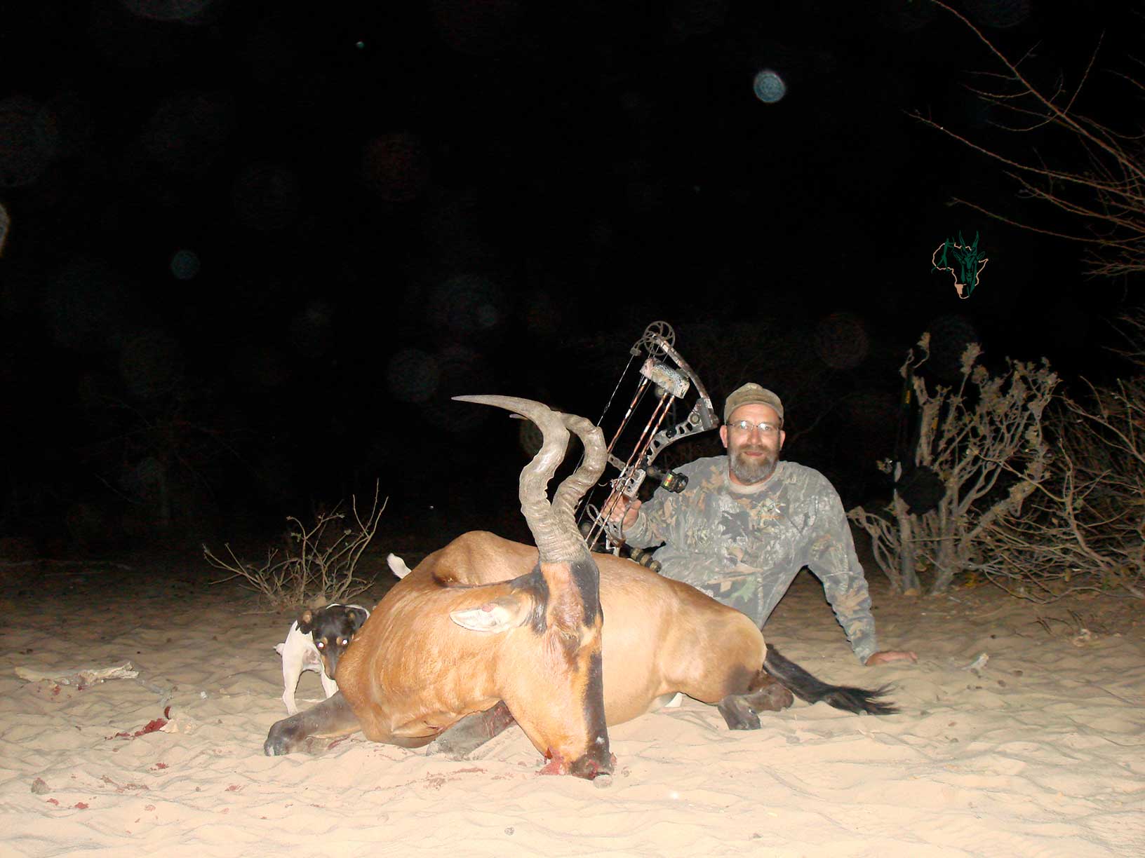 HARTEBEEST