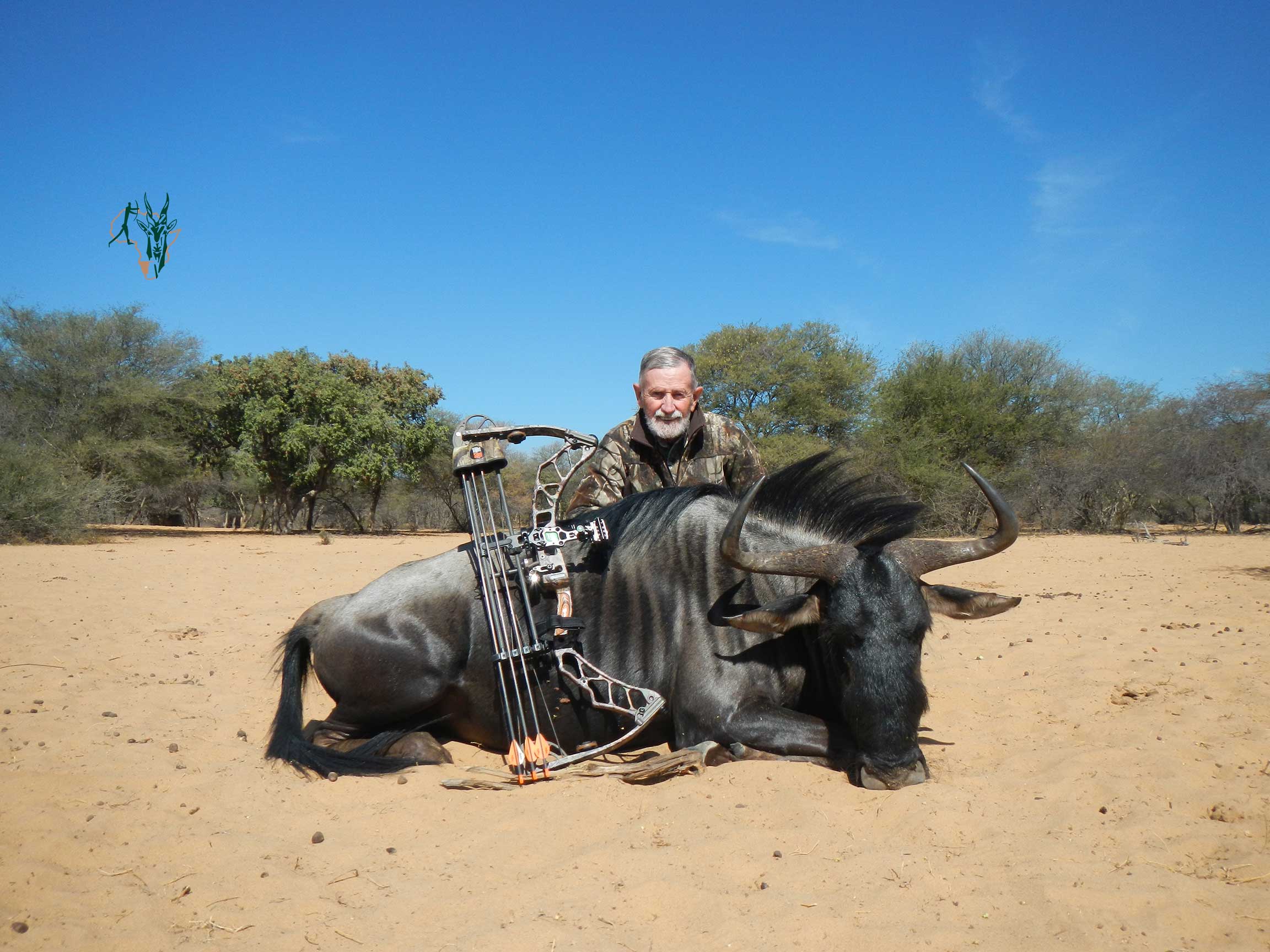 BLUE WILDEBEEST