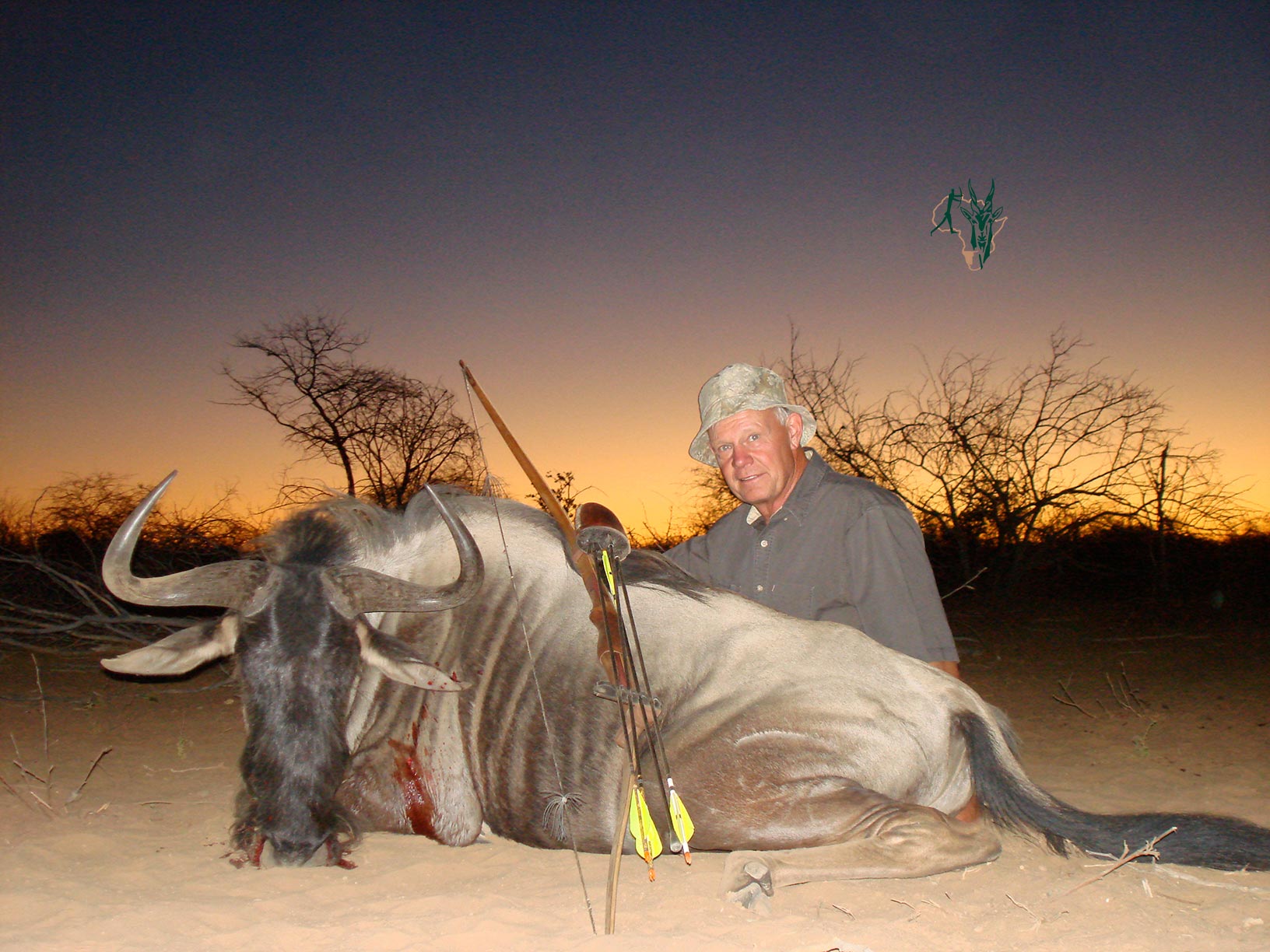 BLUE WILDEBEEST