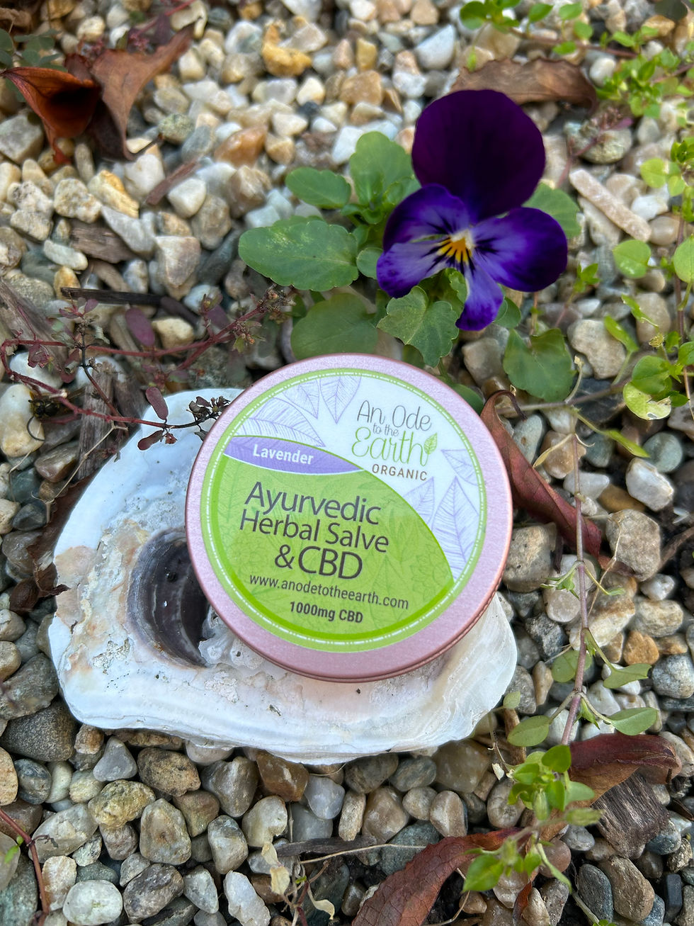 Organic Ayurvedic Herbal Pain Salve + 1000mg CBD ~ Lavender