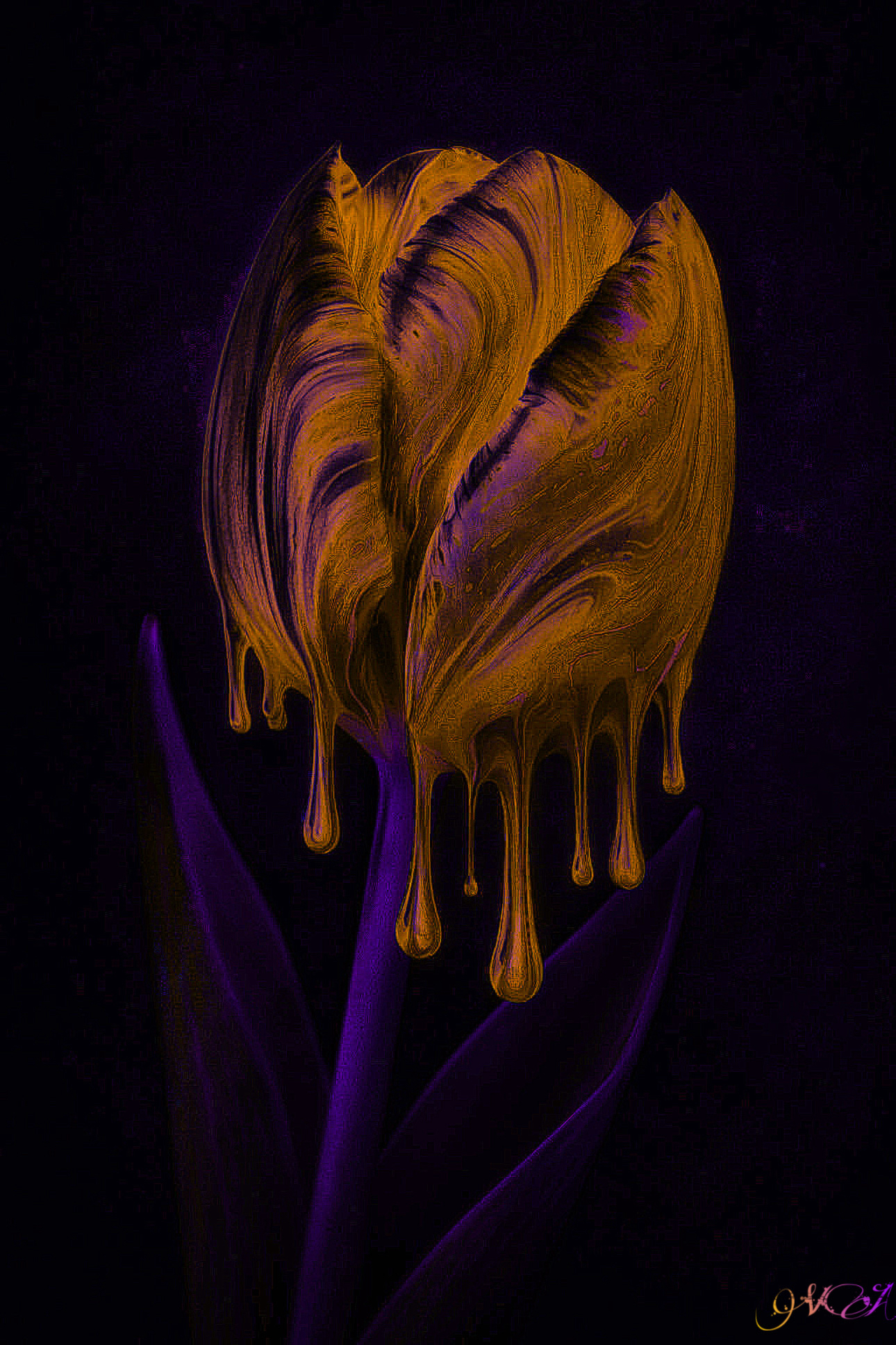 Fluid Rose(Gold-yellow)