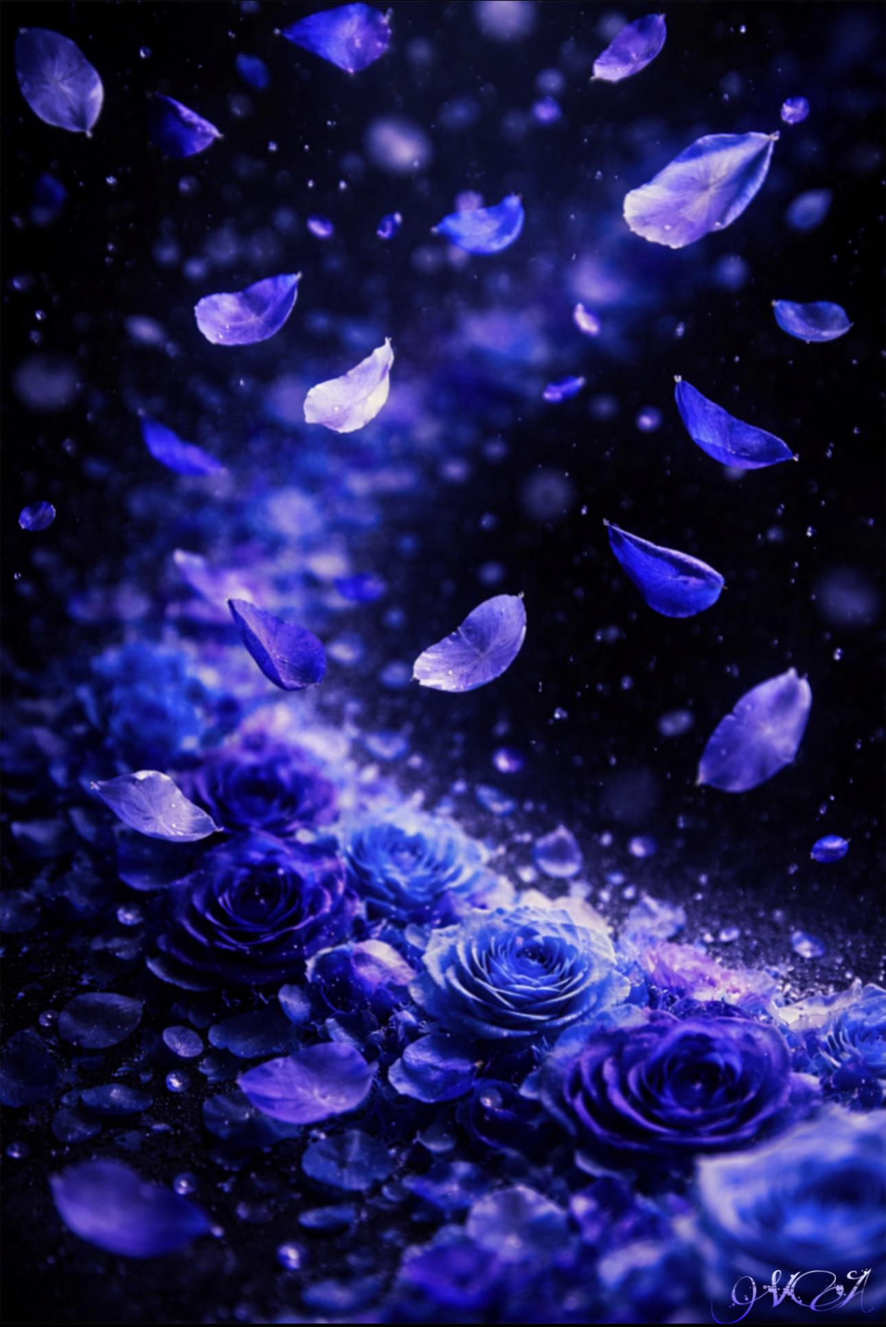 Indigo Dance