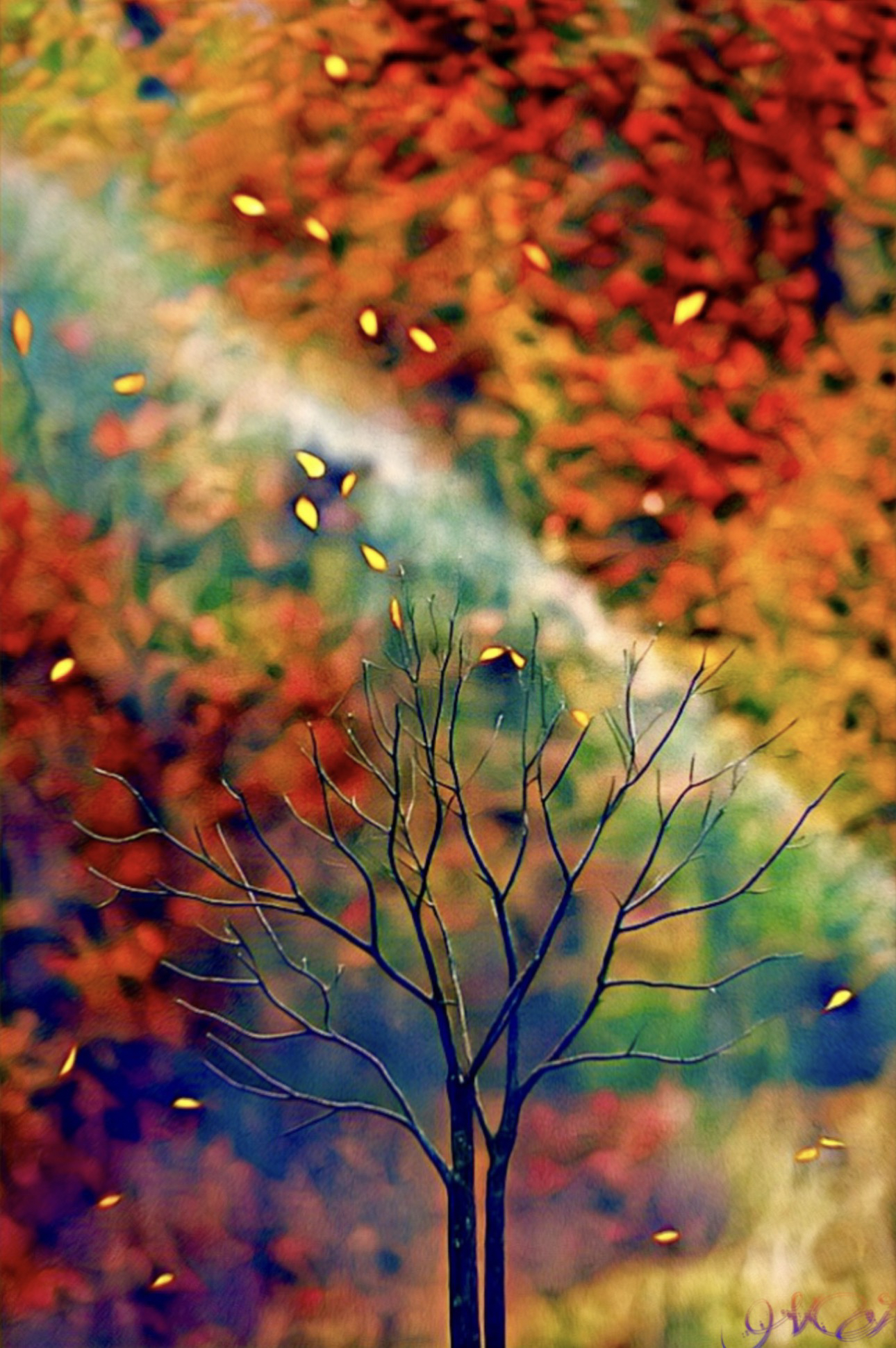 illuminated fall