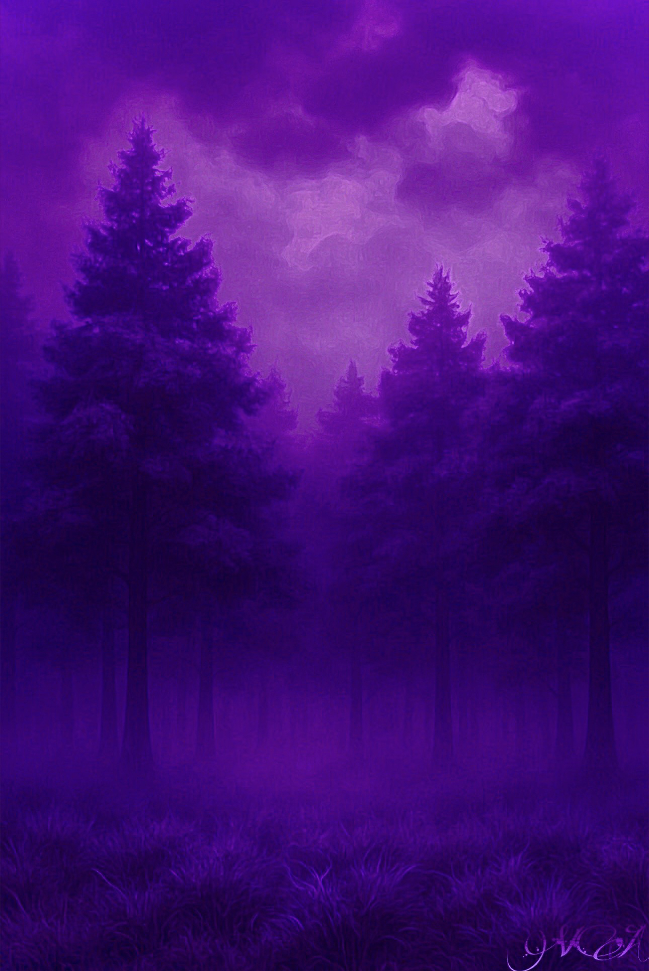 Ominous woods